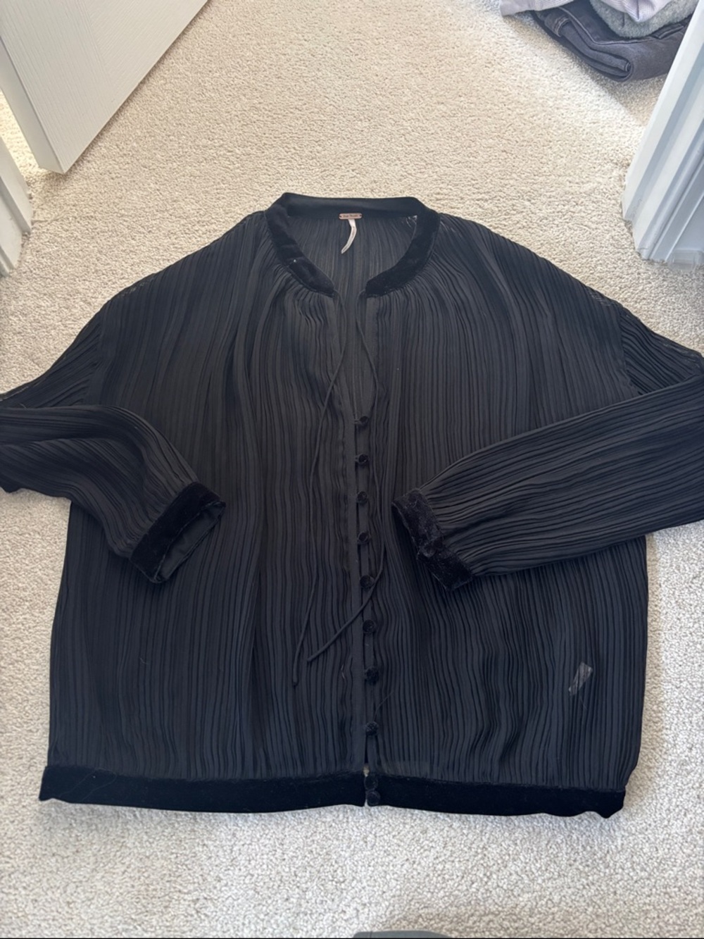 Free people Sheer blouse